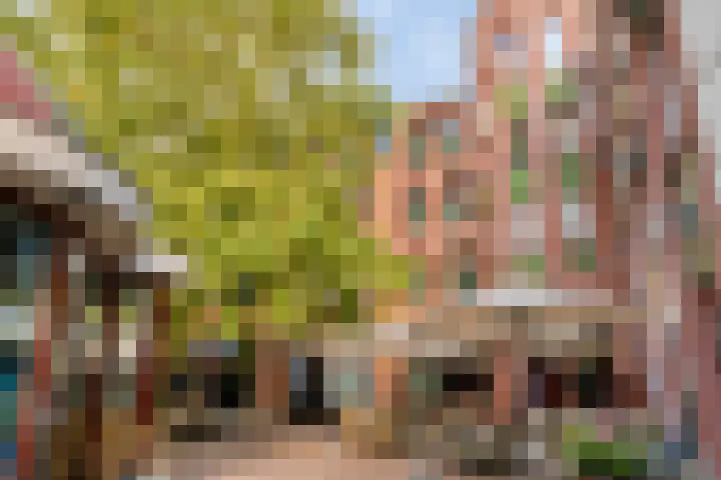 Guardianenhof 20 in 's-Hertogenbosch