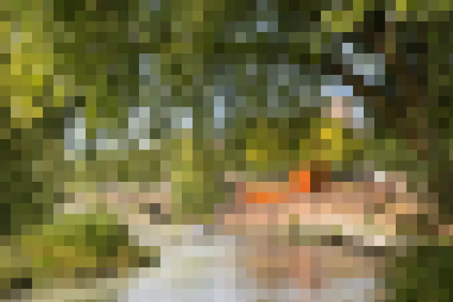 Guardianenhof 20 's-Hertogenbosch thumbnail 21