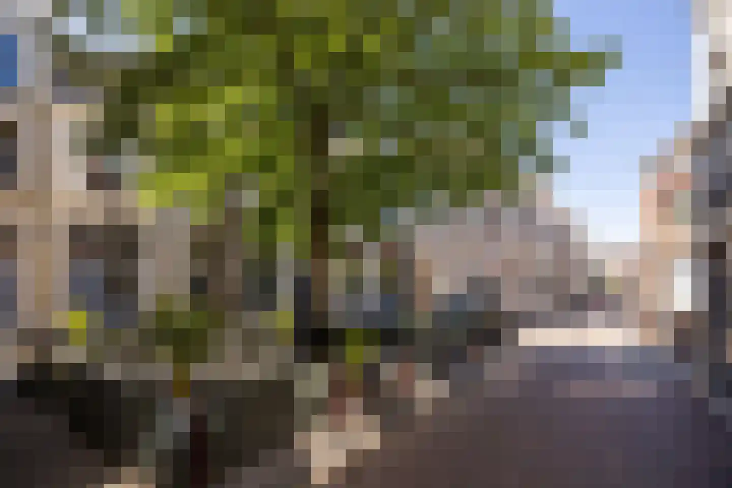 Guardianenhof 20 's-Hertogenbosch thumbnail 22