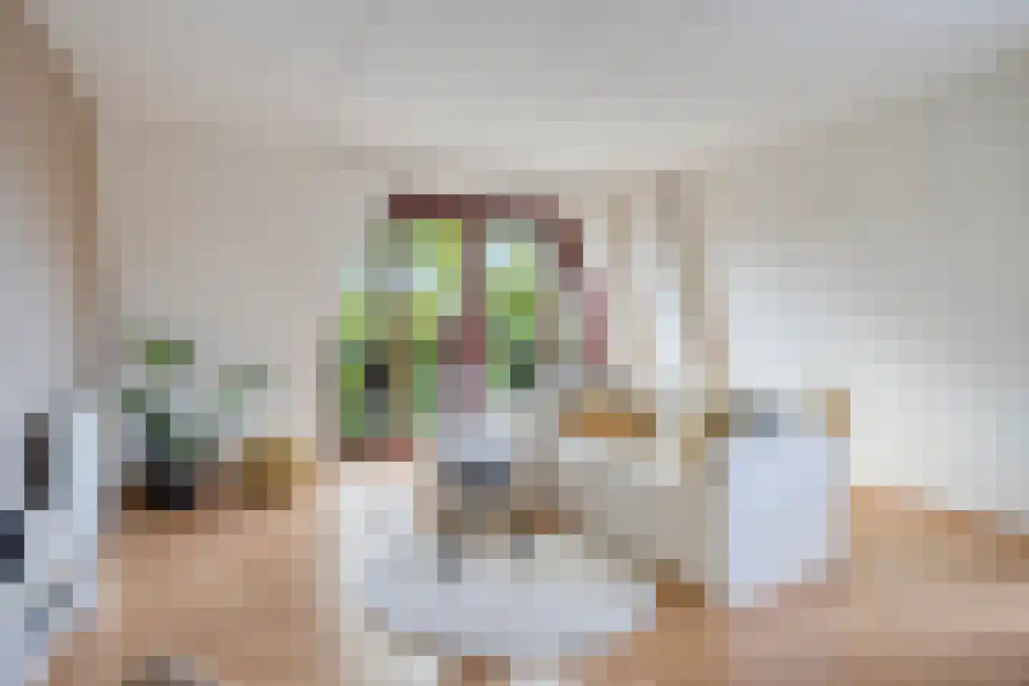 Guardianenhof 20 's-Hertogenbosch thumbnail 4