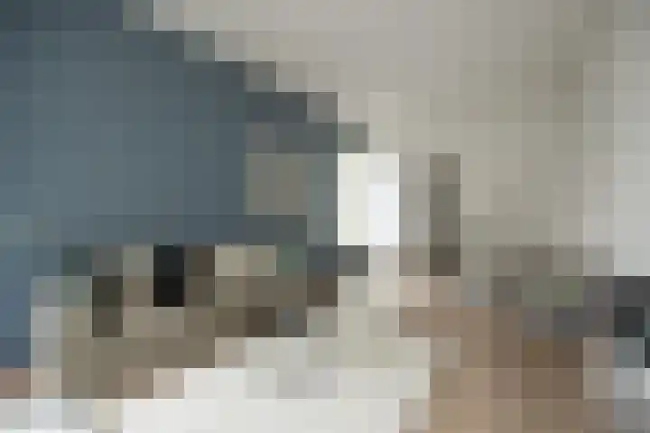 Guardianenhof 30 's-Hertogenbosch thumbnail 11