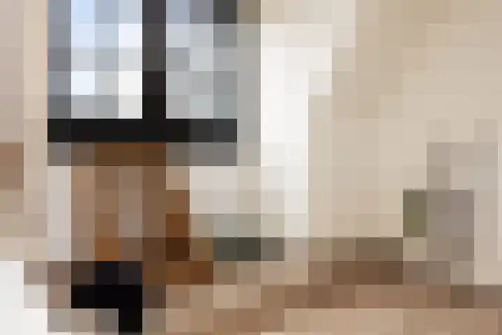 Guardianenhof 30 's-Hertogenbosch thumbnail 18