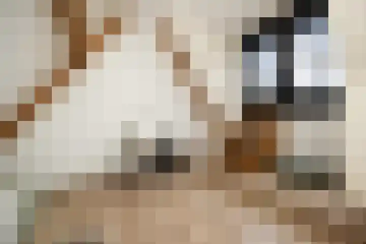Guardianenhof 30 's-Hertogenbosch thumbnail 22