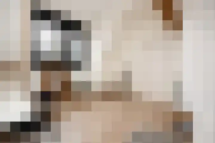 Guardianenhof 30 's-Hertogenbosch thumbnail 23
