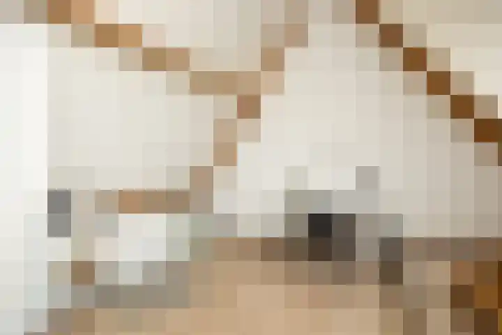 Guardianenhof 30 's-Hertogenbosch thumbnail 24