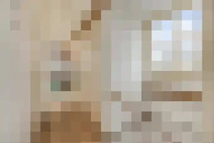 Guardianenhof 30 's-Hertogenbosch thumbnail 26