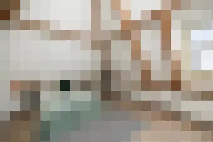 Guardianenhof 30 's-Hertogenbosch thumbnail 27