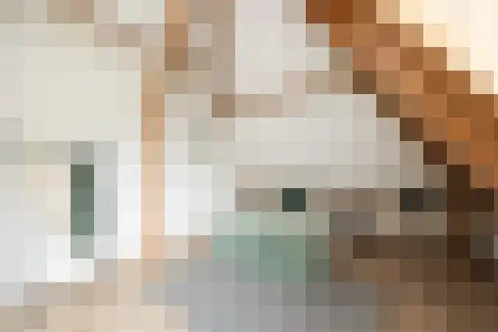 Guardianenhof 30 's-Hertogenbosch thumbnail 28
