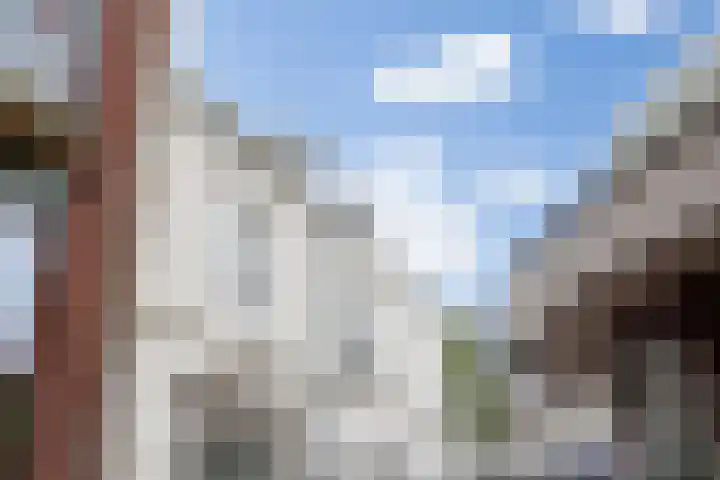 Guardianenhof 30 's-Hertogenbosch thumbnail 33