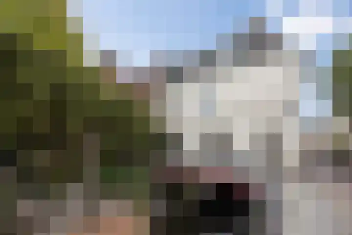 Guardianenhof 30 's-Hertogenbosch thumbnail 35