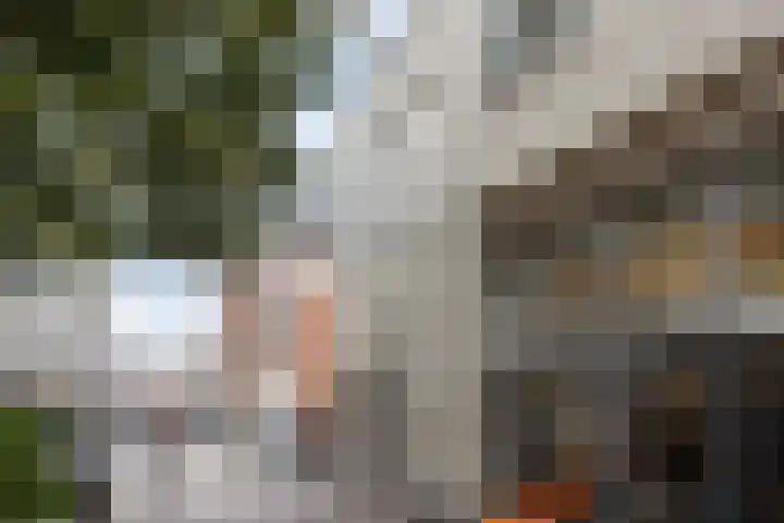Guardianenhof 30 's-Hertogenbosch thumbnail 37