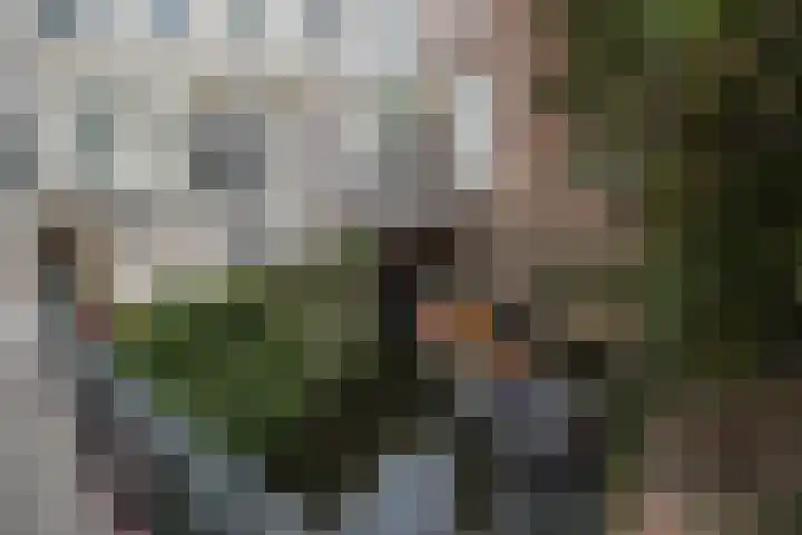 Guardianenhof 30 's-Hertogenbosch thumbnail 38