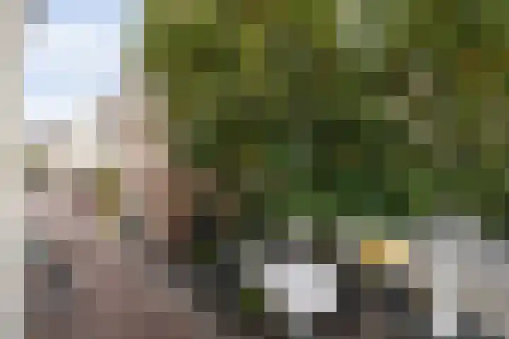 Guardianenhof 30 's-Hertogenbosch thumbnail 4
