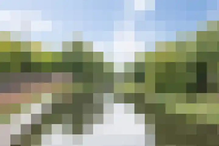 Guardianenhof 30 's-Hertogenbosch thumbnail 43