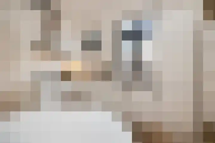 Guardianenhof 34 's-Hertogenbosch thumbnail 16