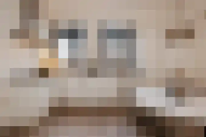 Guardianenhof 34 's-Hertogenbosch thumbnail 17