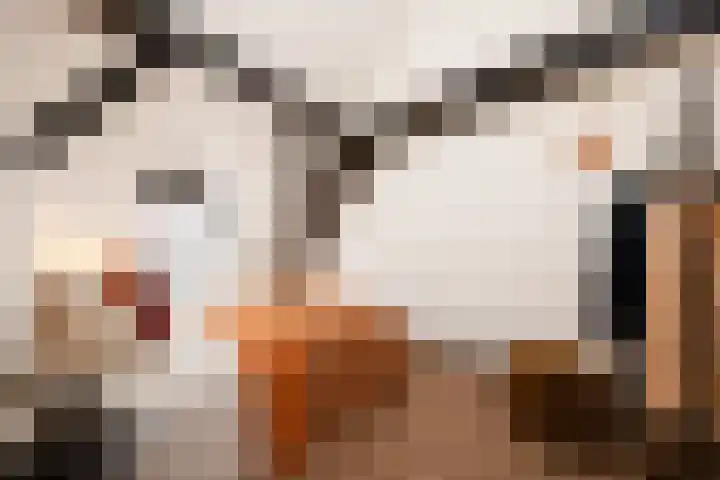 Guardianenhof 34 's-Hertogenbosch thumbnail 18