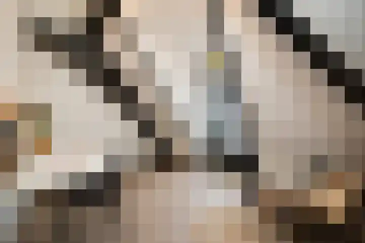 Guardianenhof 34 's-Hertogenbosch thumbnail 21