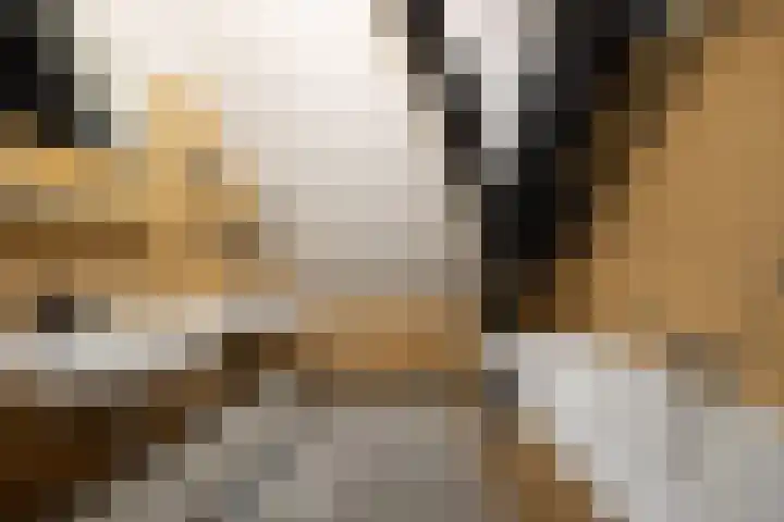 Guardianenhof 34 's-Hertogenbosch thumbnail 24