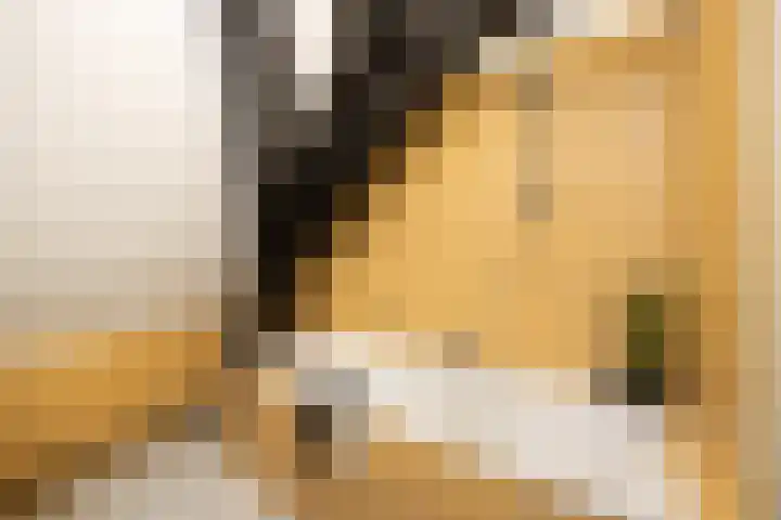 Guardianenhof 34 's-Hertogenbosch thumbnail 25