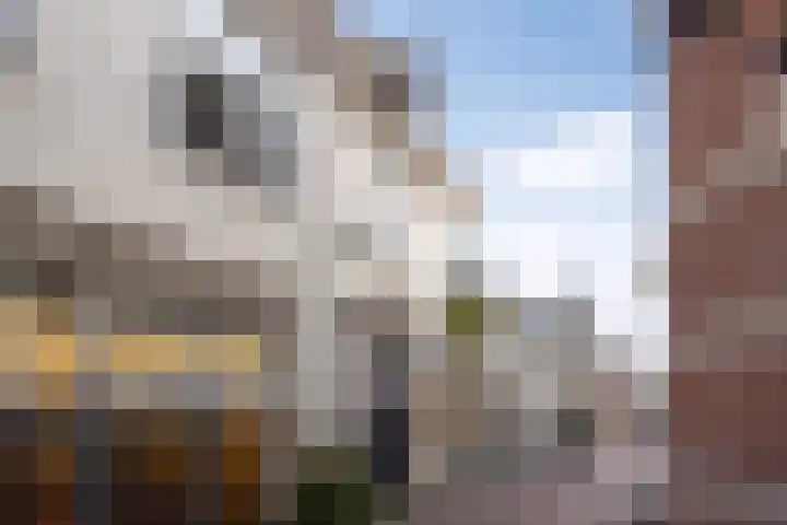 Guardianenhof 34 's-Hertogenbosch thumbnail 31