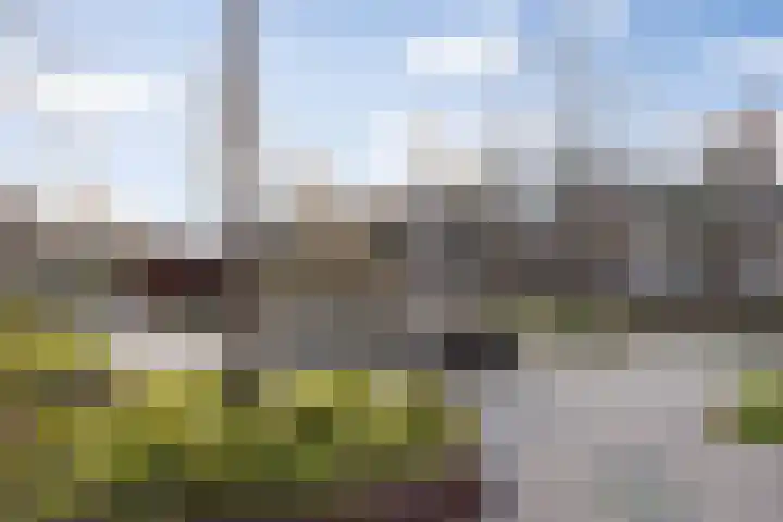 Guardianenhof 34 's-Hertogenbosch thumbnail 38