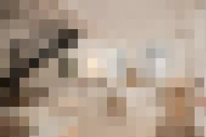 Guardianenhof 34 's-Hertogenbosch thumbnail 4