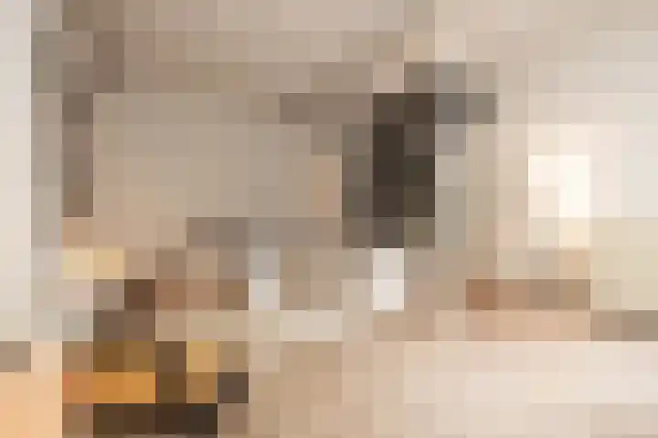 Guardianenhof 34 's-Hertogenbosch thumbnail 5