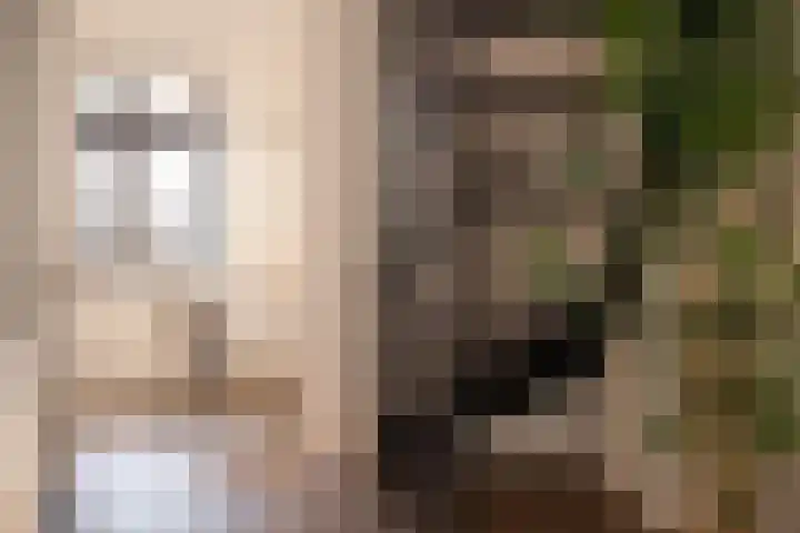 Guardianenhof 34 's-Hertogenbosch thumbnail 9