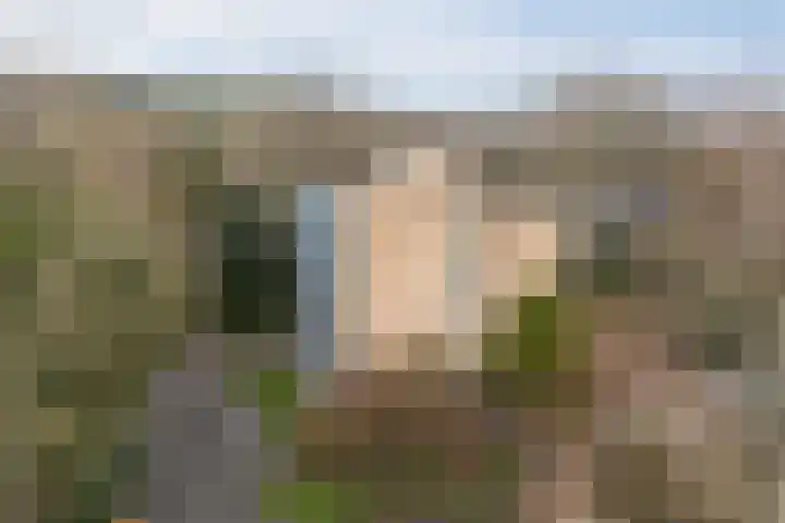Guardini-Nes 20 C Bergen (NH) thumbnail 23