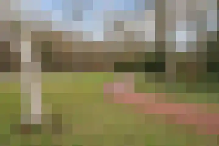 Guardini-Nes 20 C Bergen (NH) thumbnail 26