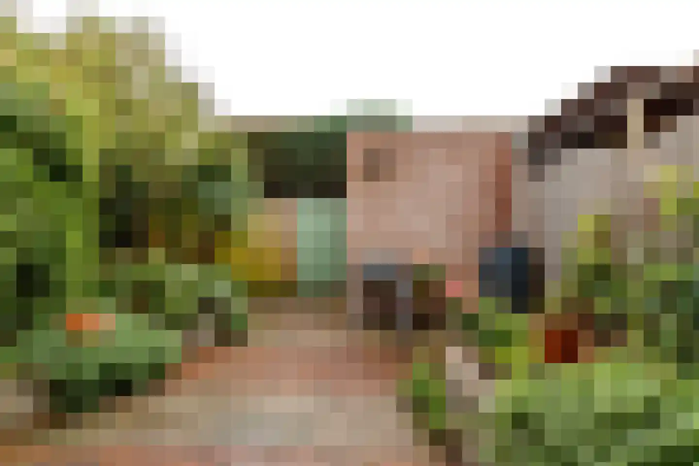 Guatemaladreef 11 Utrecht thumbnail 13