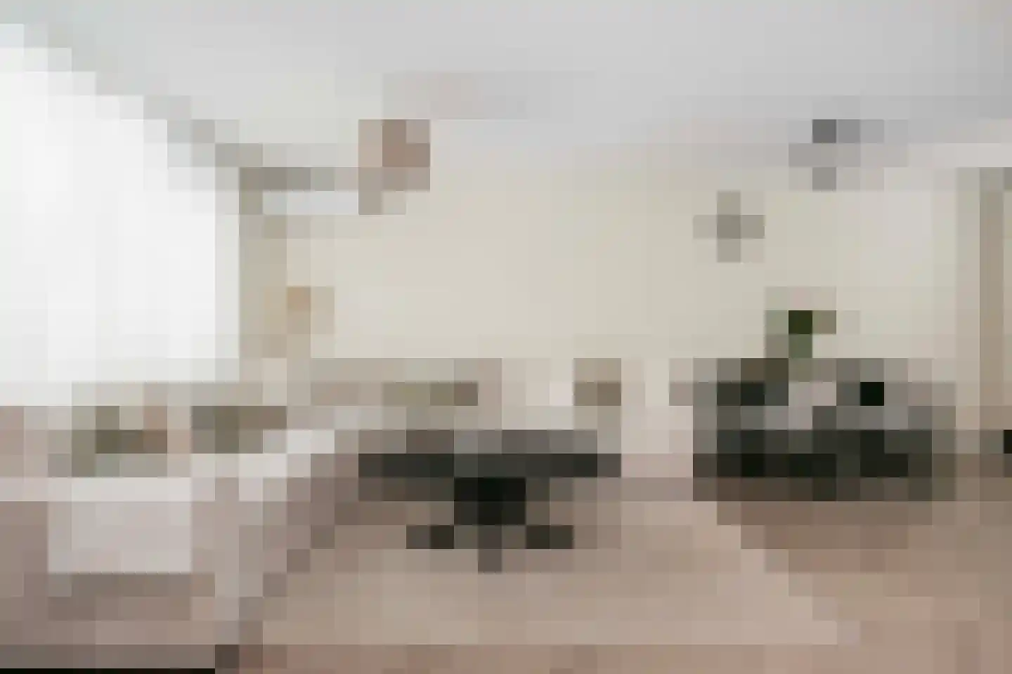 Guatemaladreef 6 Utrecht thumbnail 13