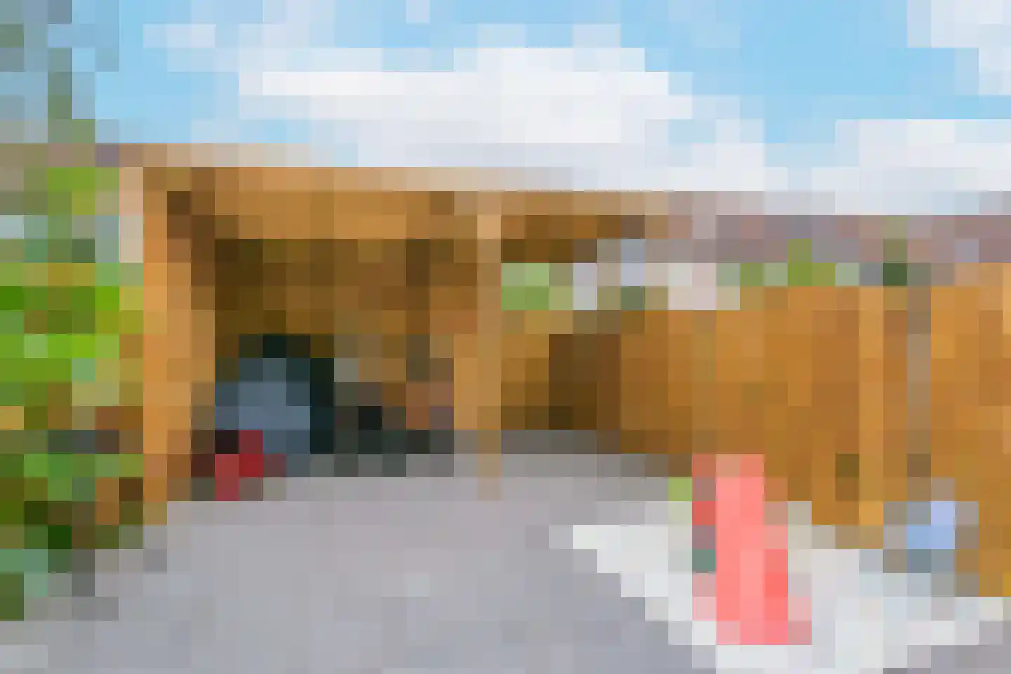 Guatemaladreef 6 Utrecht thumbnail 20