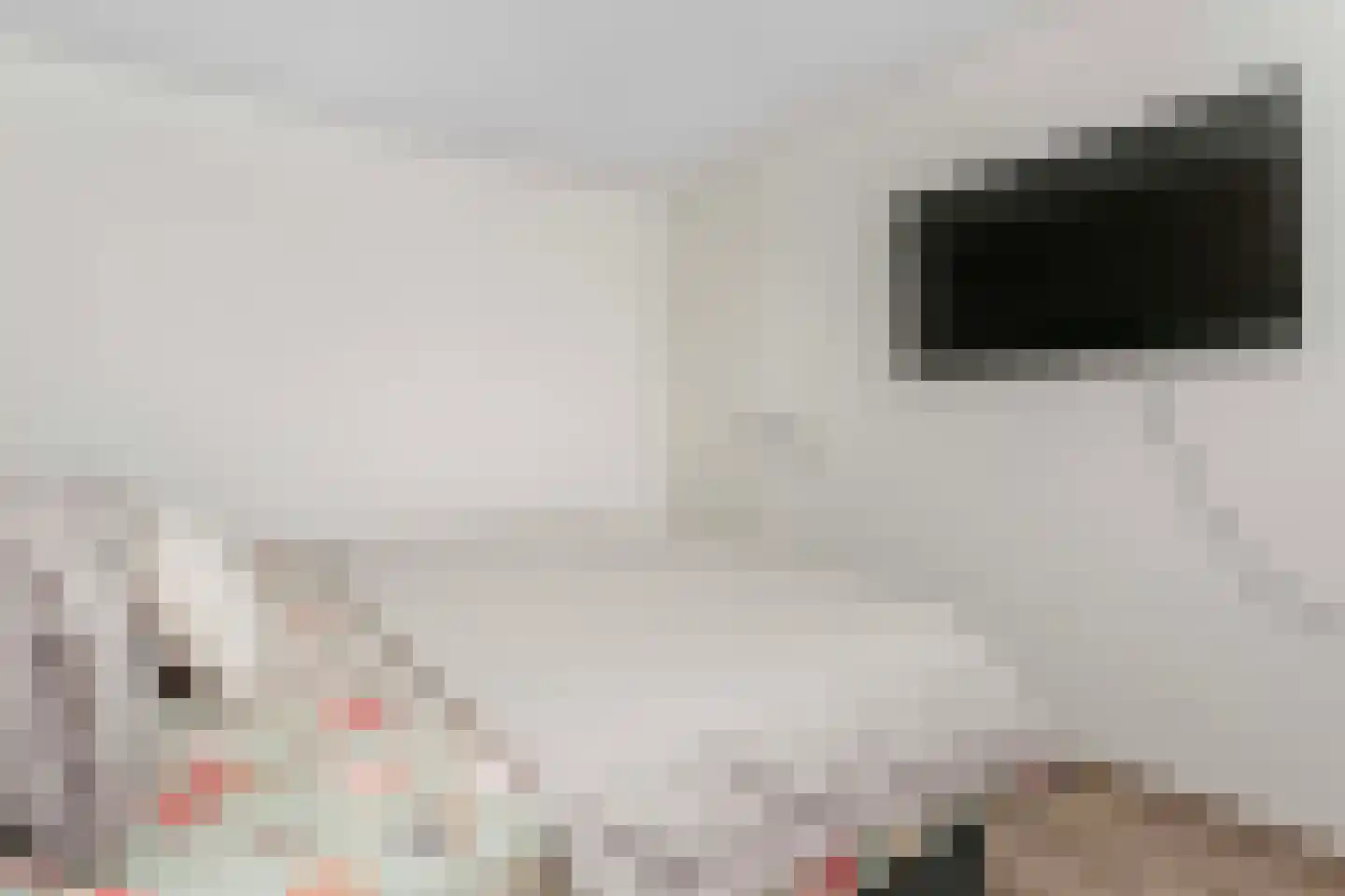 Guatemaladreef 6 Utrecht thumbnail 27
