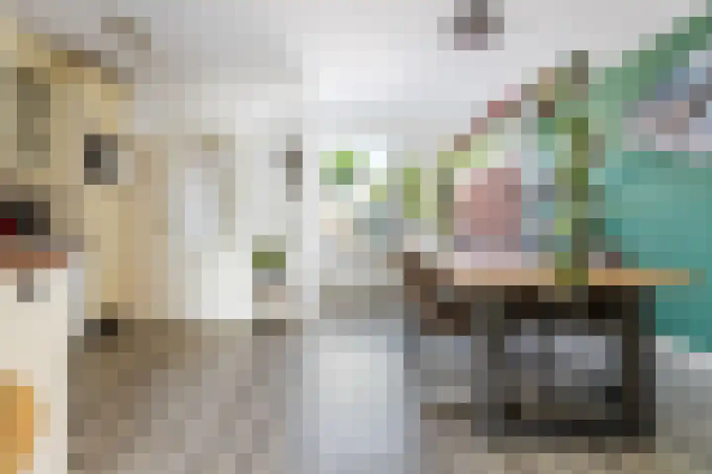 Gudsekop 27 Sneek thumbnail 10