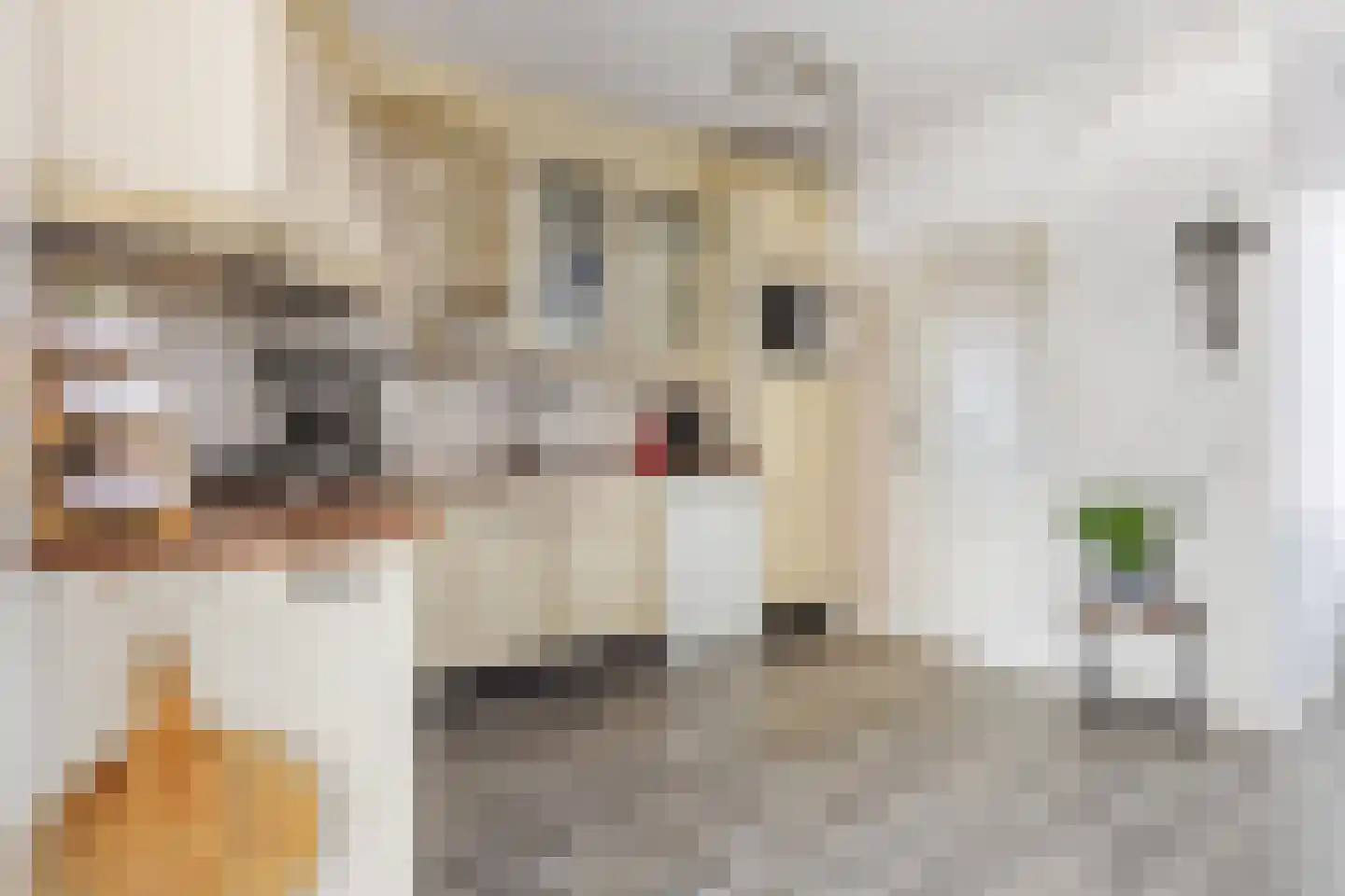 Gudsekop 27 Sneek thumbnail 13
