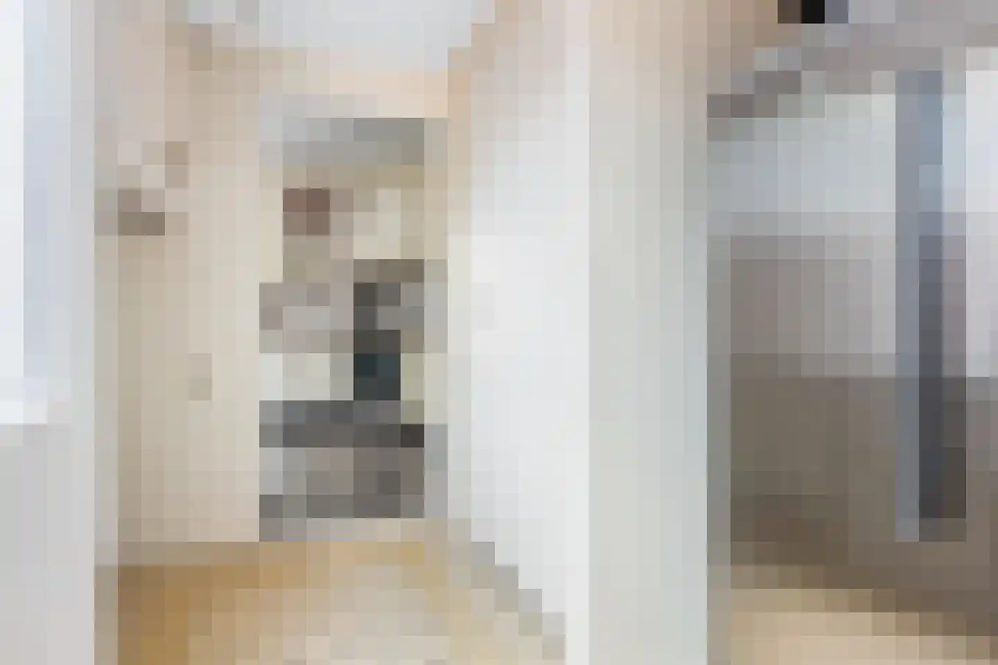 Gudsekop 27 Sneek thumbnail 19