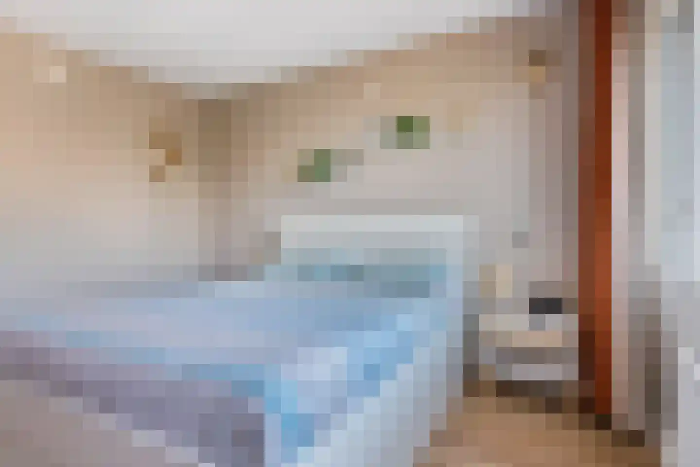 Gudsekop 27 Sneek thumbnail 31