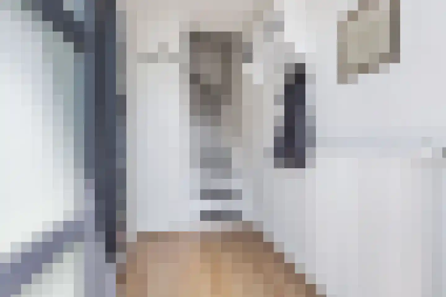 Gudsekop 27 Sneek thumbnail 4