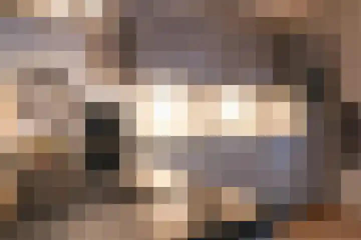 Gudsekop 79 Sneek thumbnail 14