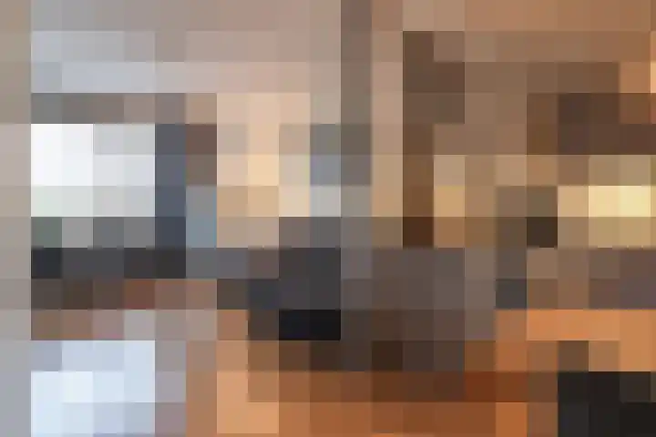 Gudsekop 79 Sneek thumbnail 19