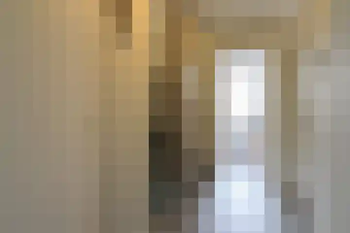 Gudsekop 79 Sneek thumbnail 23