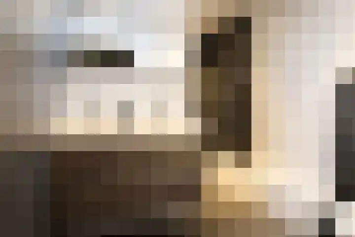 Gudsekop 79 Sneek thumbnail 27