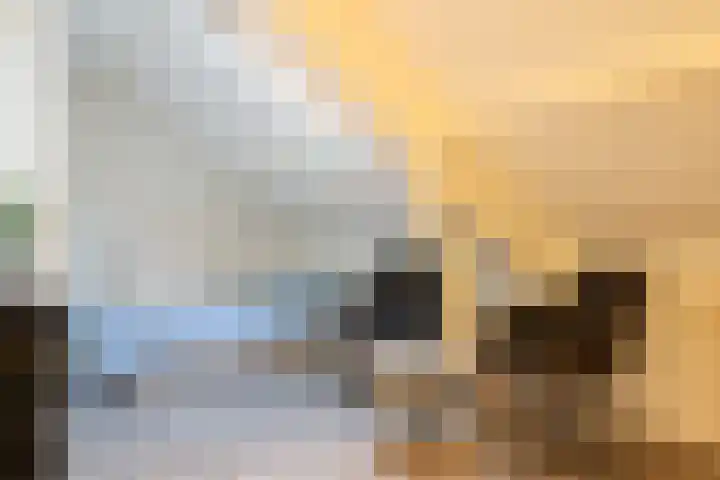 Gudsekop 79 Sneek thumbnail 35
