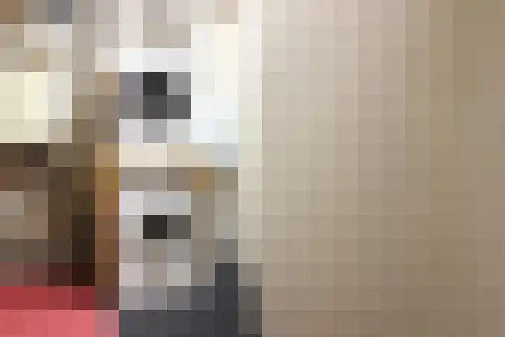 Gudsekop 79 Sneek thumbnail 36
