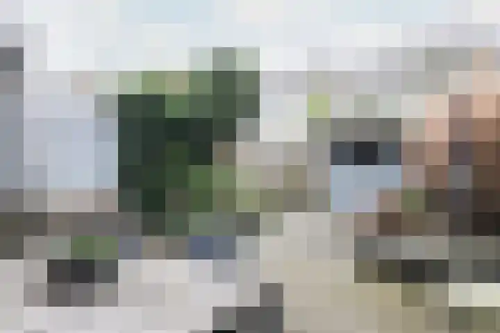 Gudsekop 79 Sneek thumbnail 39