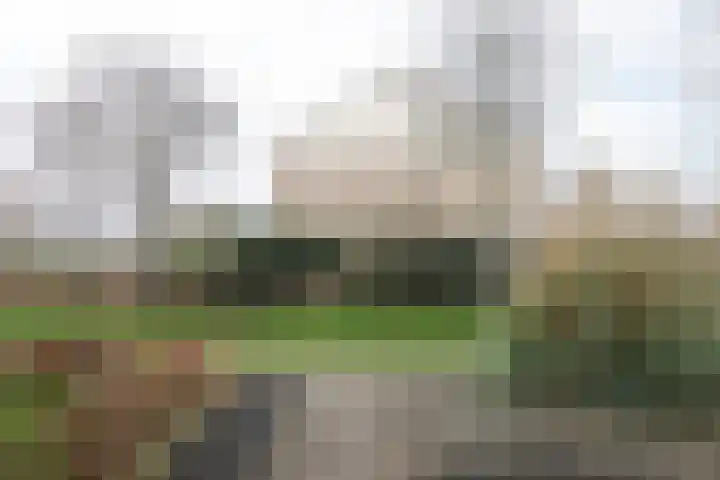 Gudsekop 79 Sneek thumbnail 4