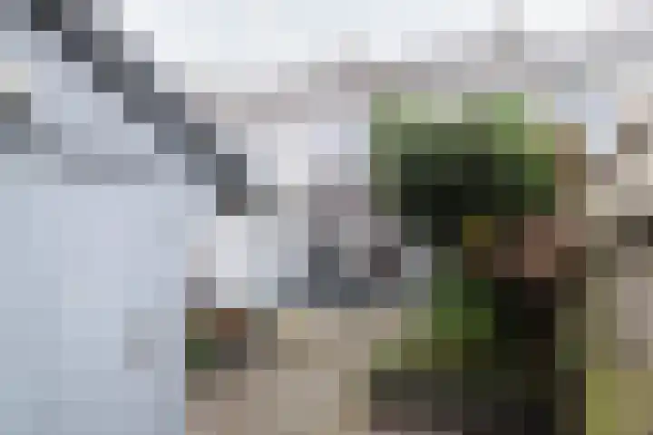Gudsekop 79 Sneek thumbnail 41