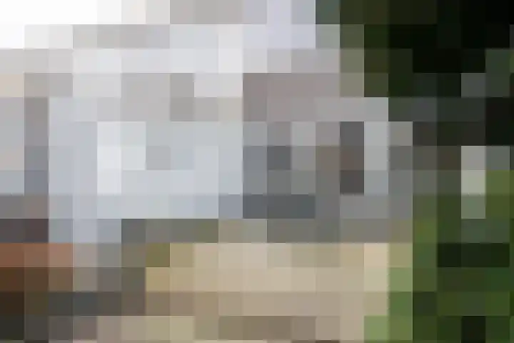 Gudsekop 79 Sneek thumbnail 42